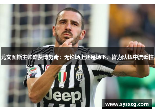 尤文图斯主帅盛赞博努奇：无论场上还是场下，皆为队伍中流砥柱